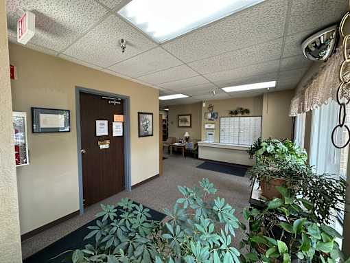 A hallway with a plant on the right side.