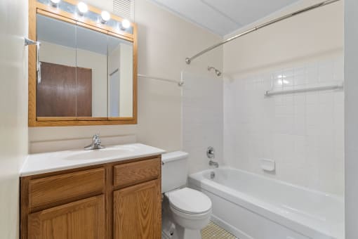a bathroom with a sink toilet and tub and a mirror