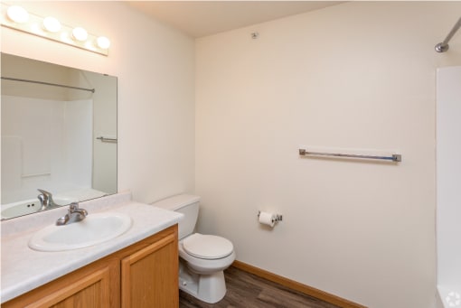a bathroom with a toilet and a sink and a mirror