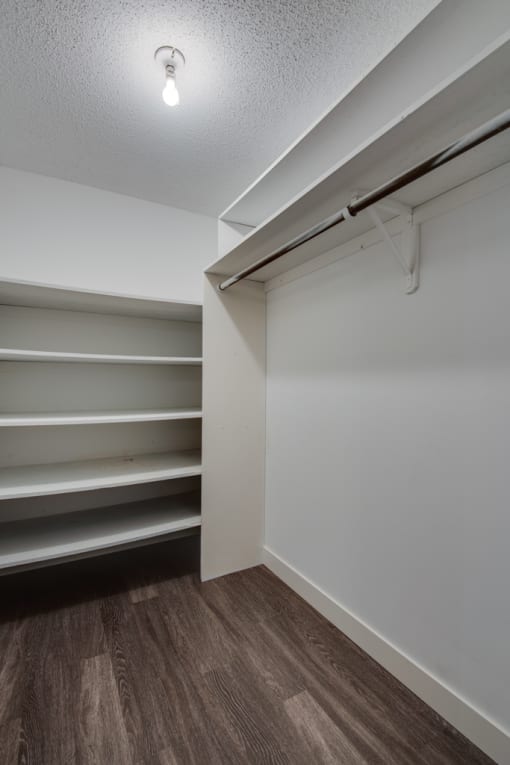 a walk in closet in a bedroom with shelves and a light