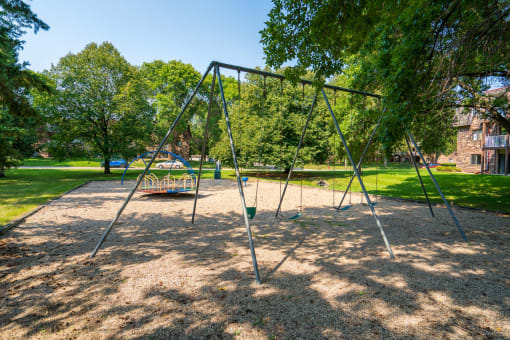 a swing set in a park with a wall of trees