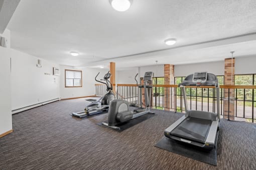 the gym has plenty of cardio equipment and a balcony