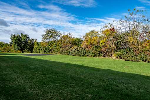 A large, open grassy field with trees in the background.
