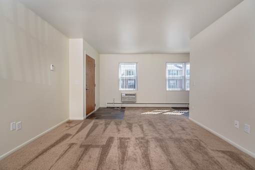 A room with a brown carpet and a window with a white frame.