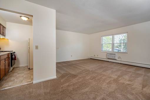 A large, empty room with a carpeted floor and a window.