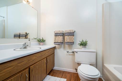 A white toilet sits next to a sink in a bathroom.