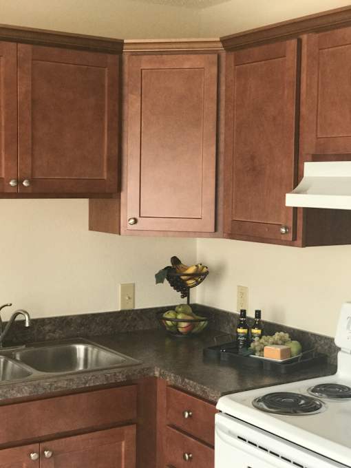 Riverview kitchen