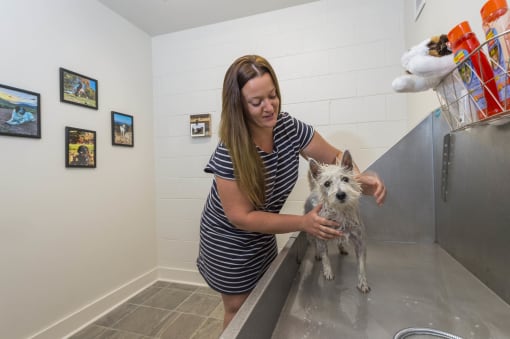 a woman washing a small dog in a sink  at Roaring Fork Apartments, Basalt, CO