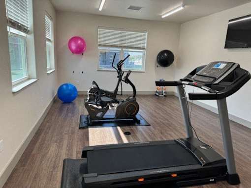 A gym with treadmills, elliptical machines, and exercise balls.