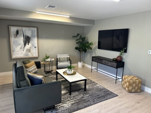 a living room with a couch and a television  at MountainView Flats, Glenwood Springs, CO