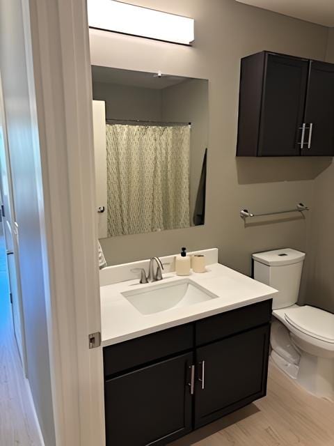 a bathroom with a sink and a toilet and a mirror at MountainView Flats, Glenwood Springs