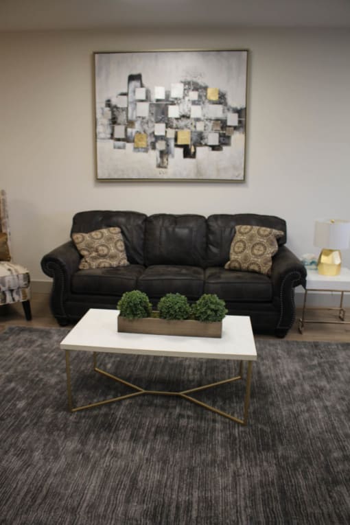 Living Room Sofa at Salem Place Apartments, Daleville, IN, 47334