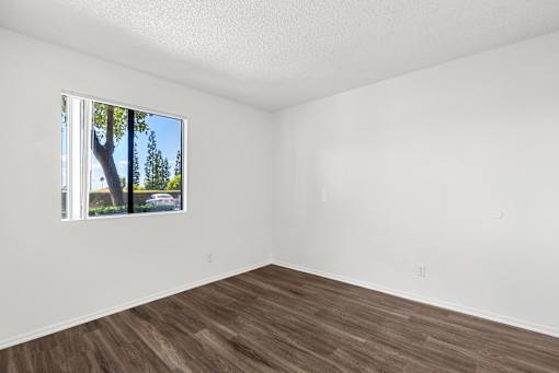Empty room with a window showing a tree outside.