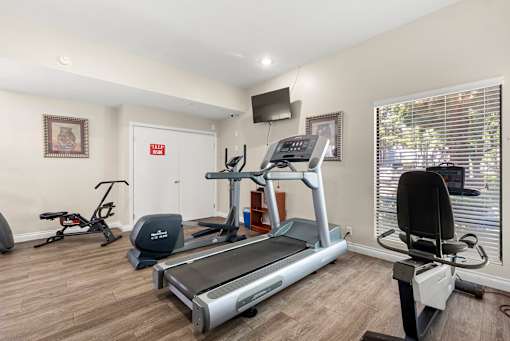 A home gym with a treadmill, exercise bike, and other equipment.