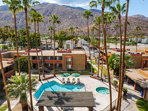 A pool surrounded by palm trees and a mountain in the background.