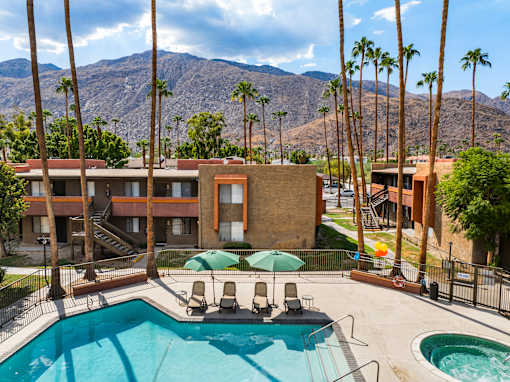 A pool surrounded by palm trees and a mountain in the background.