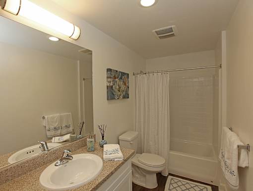 A bathroom with a sink, toilet, and shower.