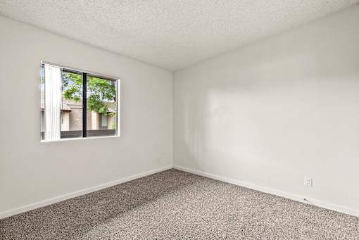 A room with a window and carpeted floor.