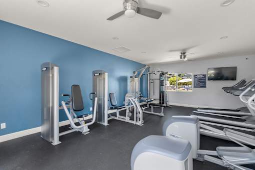 A gym with a blue wall and a variety of equipment.
