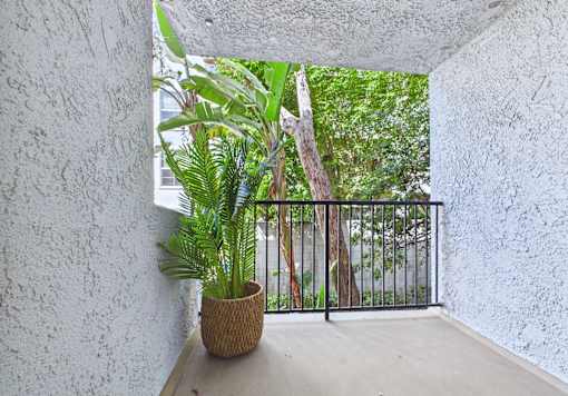 A potted plant sits on a balcony with a view of trees.
