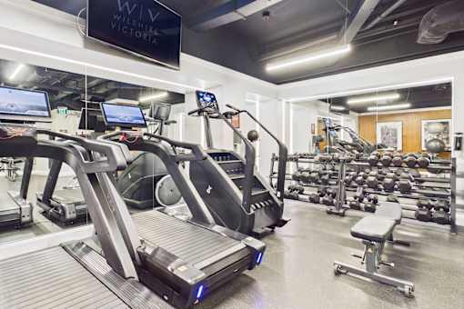 A gym with treadmills and weights.