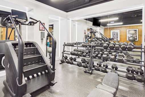A gym with a treadmill on the left and a bench press on the right.