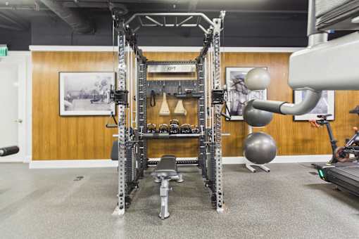 A gym with a squat rack, a bench, and a ball.