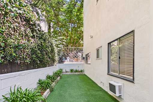 A small backyard with a green lawn and a wall covered in plants.