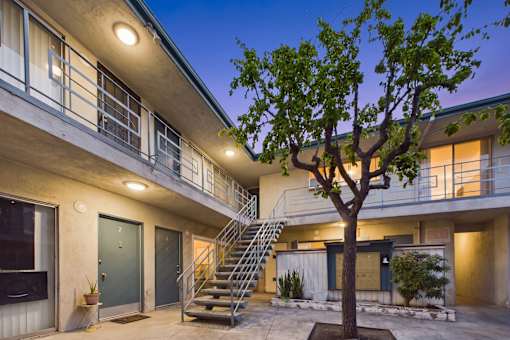 A tree stands in front of a building with a staircase.