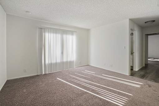 A room with a carpeted floor and white lines drawn on it.