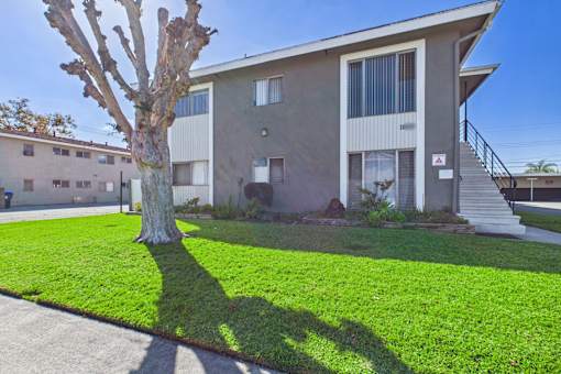 A tree stands in front of a building with a lawn in front of it.