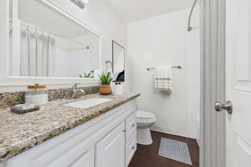 A bathroom with a marble countertop and white fixtures.