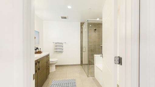 A bathroom with a walk-in shower and a toilet.