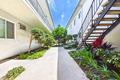 A pathway between two buildings with green plants on the sides.