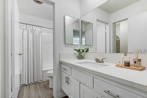 A bathroom with a white sink and a mirror above it.