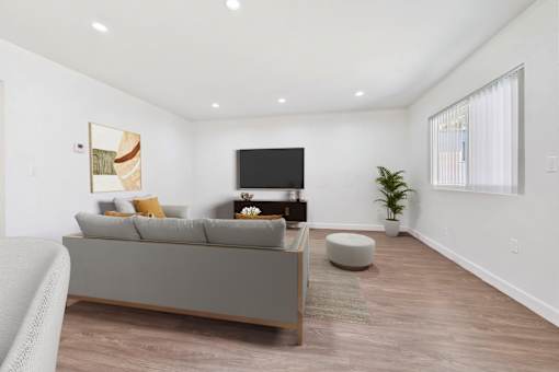 A living room with a grey couch and a television.