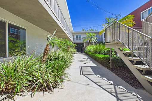 A sunny day in a residential area with a pathway and plants.