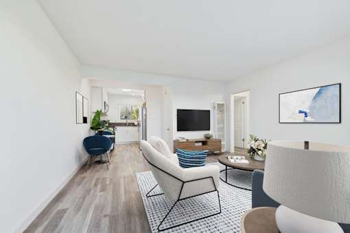 A living room with a white couch and a black and white rug.