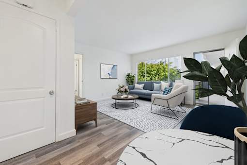 A living room with a white door, a grey sofa, a coffee table, and a large potted plant.