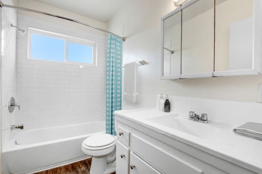 a bathroom with a sink toilet and a bath tub