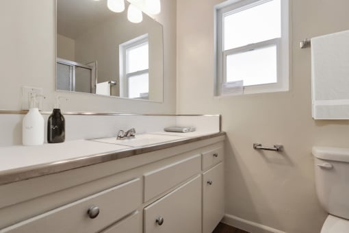 a bathroom with a sink and a mirror and a toilet