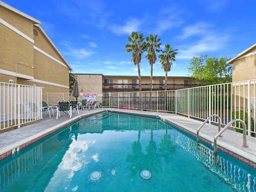 A pool surrounded by a metal fence and palm trees.