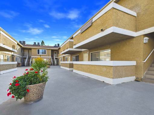 A courtyard with a flower pot in the middle of it.