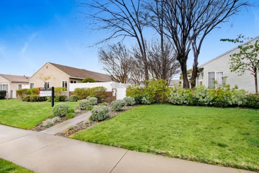 the front yard of a house with a lawn and a sidewalk