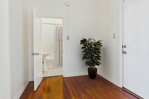 A bathroom with a plant in a pot.