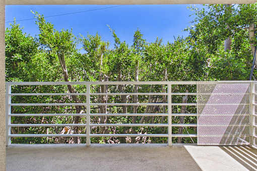 A white fence with a metal gate stands in front of a row of trees.