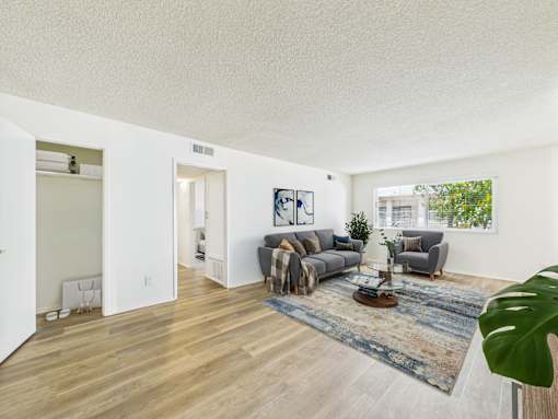 A living room with a grey couch and a blue rug.