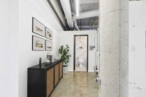 A bathroom with a sink and a plant.