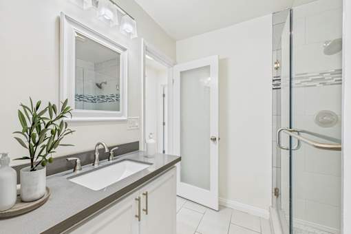 A bathroom with a sink, mirror, and a plant.