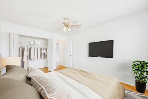 A bedroom with a bed, a plant, and a flat screen TV mounted on the wall.